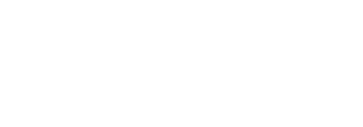 Castrolservice